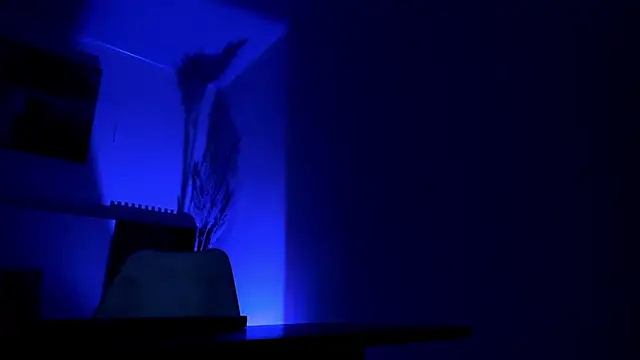 zander_2120 élő XXX-chatje