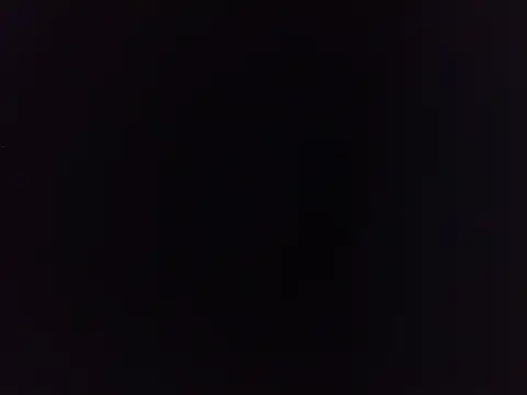 Show de PeludoBrasil na webcam