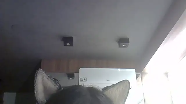 Živý XXX chat SkinnyKitten