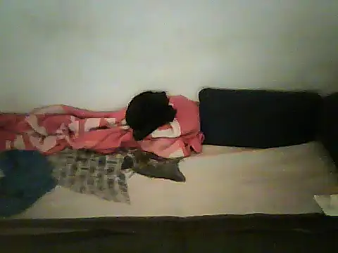 Chat XXX Live schmidtler35