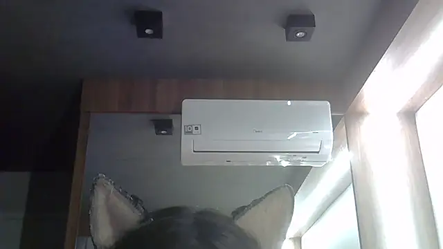 SkinnyKitten 现场XXX聊天