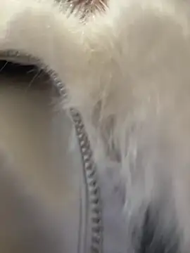 Chatroom XXX en direct de AnastasiaAniess