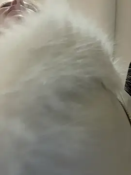 Sembang XXX Secara Langsung AnastasiaAniess