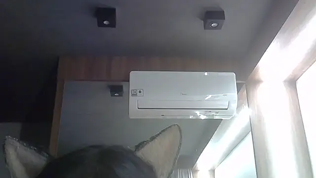 SkinnyKitten Webcamshow