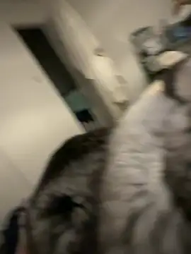 Furdale Obrolan Langsung XXX