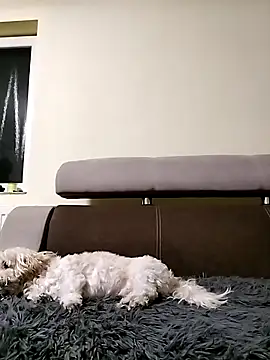 Czat XXX na żywo – Milfa_nimfomana