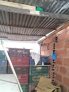 hoteder's Live XXX Chat