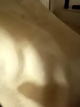 SkillfulNeoprene 现场XXX聊天