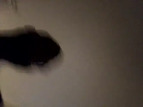 jacaranduba07's Webcam Show