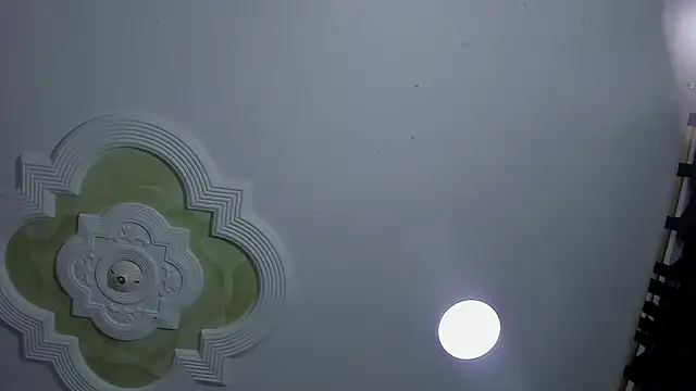 KarlaAndThiagoのウェブカメラショー