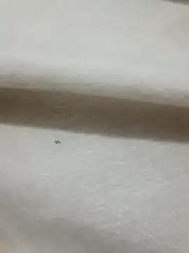 Chat +18 de Saradasexy ao vivo