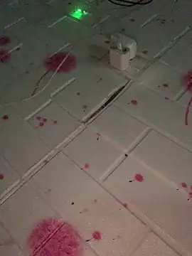 Hoa-tuylip 在線直播表演