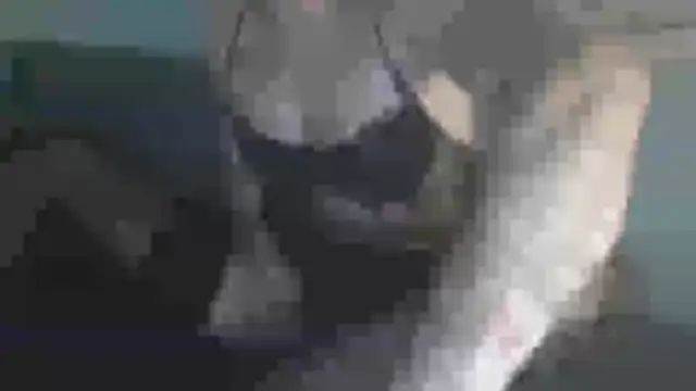 Chat XXX Live chceciedalsiebie