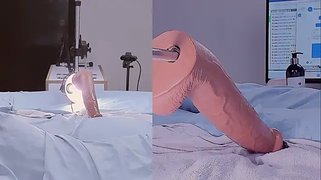 Amellia_rous' Live XXX Chat