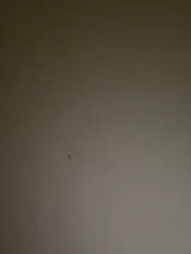 Aleja_oficial: διαδικτυακό σόου στην κάμερα