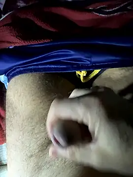 Kalisto2026 Webcam show