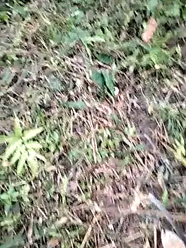 PhamPm70: διαδικτυακό σόου στην κάμερα