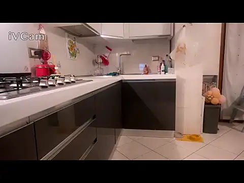 Renegade1608's Webcam Show