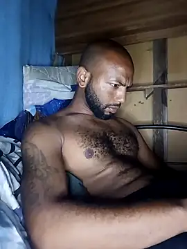 Czat XXX na żywo – Camodick