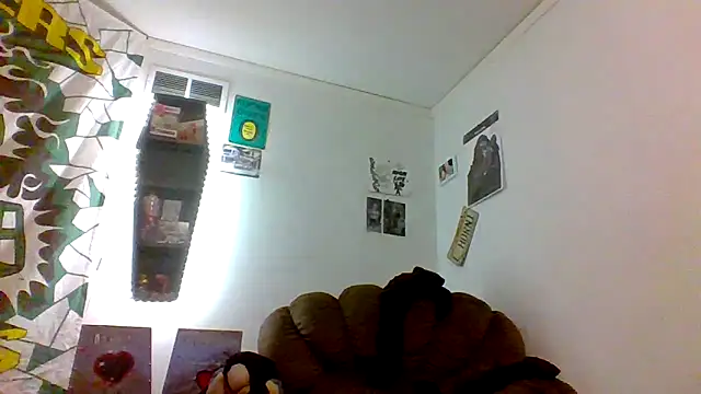 cumgitsumdic webkamerás műsora