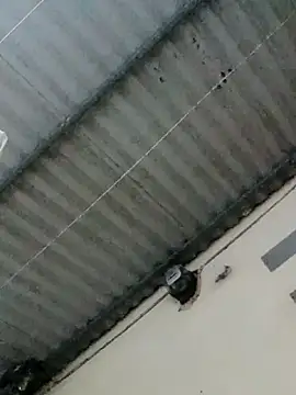 Sana-vn Chat XXX in diretta