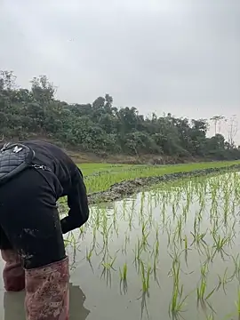 Irin_jo's Live XXX Chat