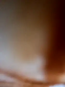 aman4404 Obrolan Langsung XXX