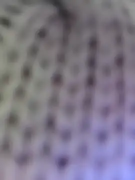 Hot-Sana2 Adlı Modelin Canlı XXX Sohbeti