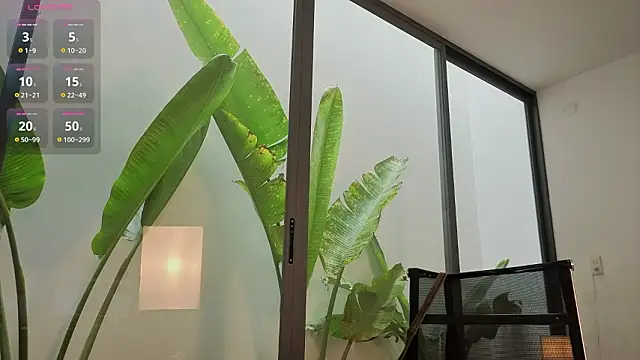 MickasaYo Adlı Modelin Canlı XXX Sohbeti