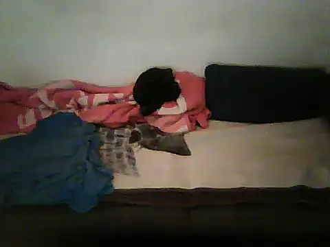 Chat XXX en directo de schmidtler35