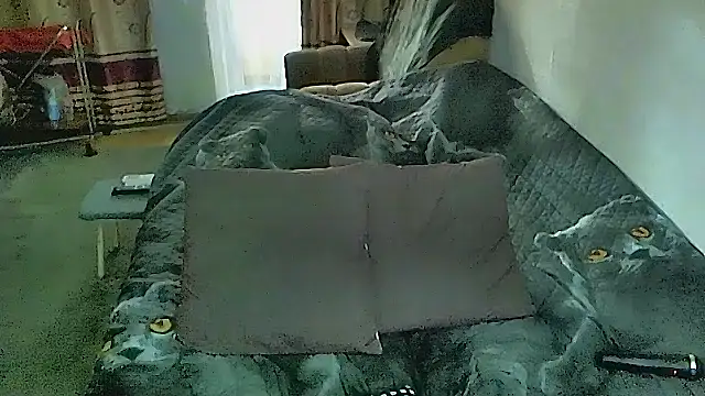 sex2のライブXXXチャット