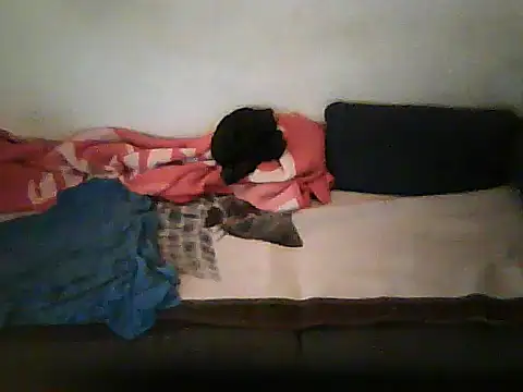 schmidtler35's Live XXX Chat