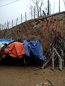 lylylove Live XXX Chat