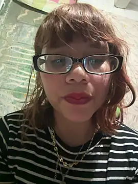 Show webcam de Horigimex