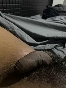 Dvcci – Kamerová šou