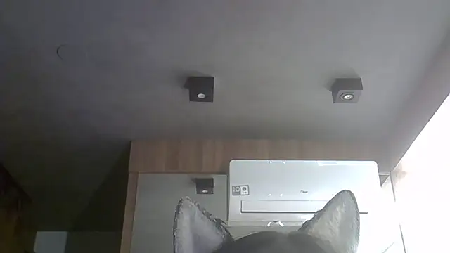 SkinnyKitten's Live XXX Chat