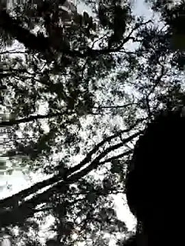 Chat XXX Live hotcoolcool