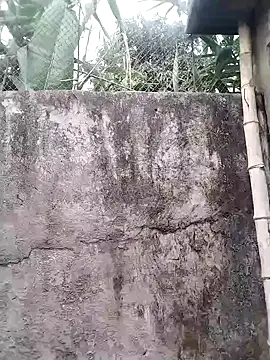 dorothyxx Live XXX-chat