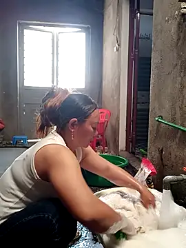 kibennet 现场XXX聊天