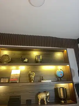 loladupont 现场XXX聊天