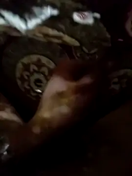 عرض كام Elbayda