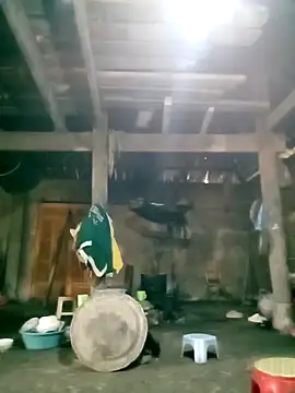 hera-00's Live XXX Chat