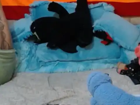 Gabosex18 – Naživo XXX chat