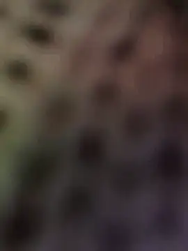 Živý XXX chat Hot-Sana2