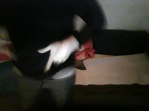 Chat XXX en directo de schmidtler35