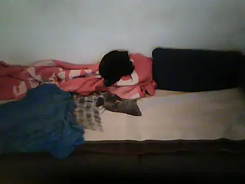 Chat XXX ao vivo de schmidtler35