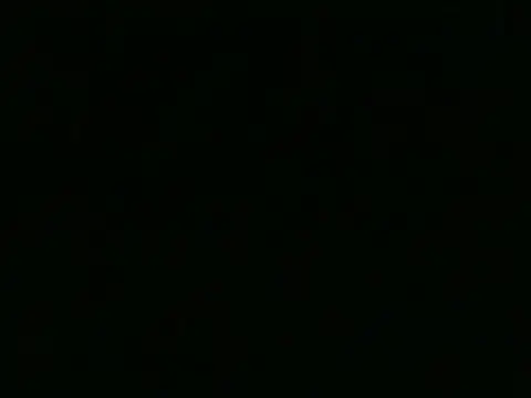 tanobighorse Webcam Show