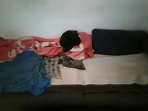 Онлайн чат XXX schmidtler35