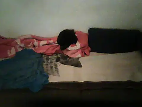 schmidtler35's Live XXX Chat