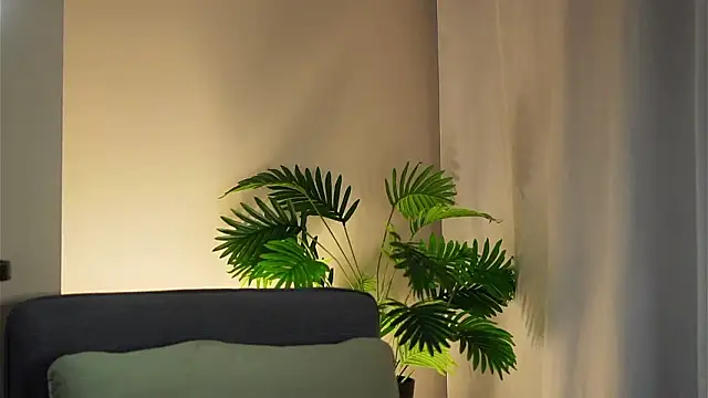 Chat XXX en directo de akumadadrive